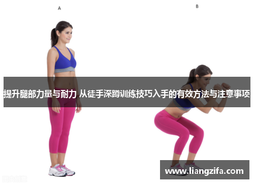 提升腿部力量与耐力 从徒手深蹲训练技巧入手的有效方法与注意事项