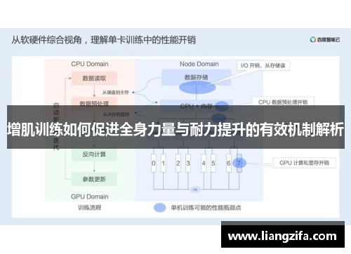 增肌训练如何促进全身力量与耐力提升的有效机制解析