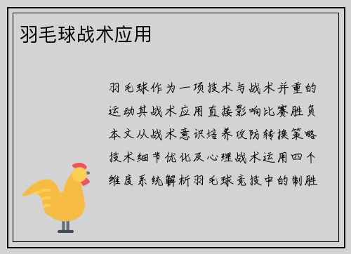 羽毛球战术应用